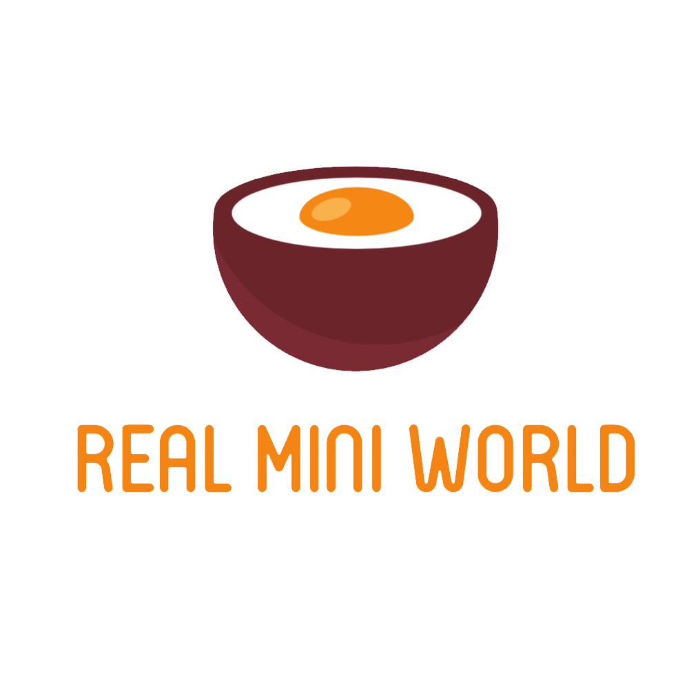 Tiny food Recipe: Bento box l Miniature cooking at Mini Kitchen – Real Mini  World