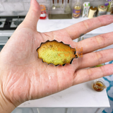Miniature Aluminum Leaf Cake Mould | Easybake Tiny Cake Baking Shop