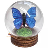 Miniature Butterfly Glass Globe (RANDOM COLOR) | Miniature Shop