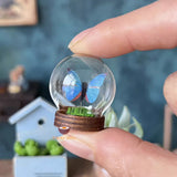 Miniature Butterfly Glass Globe (RANDOM COLOR) | Miniature Shop