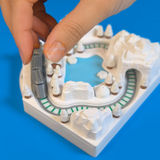 Winter Wonderland REAL Train Set | Miniature Diorama Shop