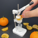 Miniature REAL Manual Juicer | Mini Food Cooking Shop