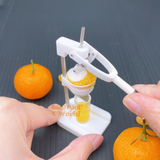 Miniature REAL Manual Juicer | Mini Food Cooking Shop