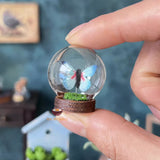 Miniature Butterfly Glass Globe (RANDOM COLOR) | Miniature Shop