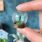 Miniature Butterfly Glass Globe (RANDOM COLOR) | Miniature Shop