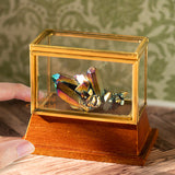 Miniature Brass Glass Display Box | Handmade Dollhouse Miniature Shop