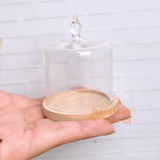 Miniature Cake Dome + Pale Wood Plate