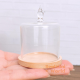 Miniature Cake Dome + Pale Wood Plate