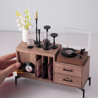 Miniature Vintage Living Room Vinyl Records Collection |Dollhouse Shop